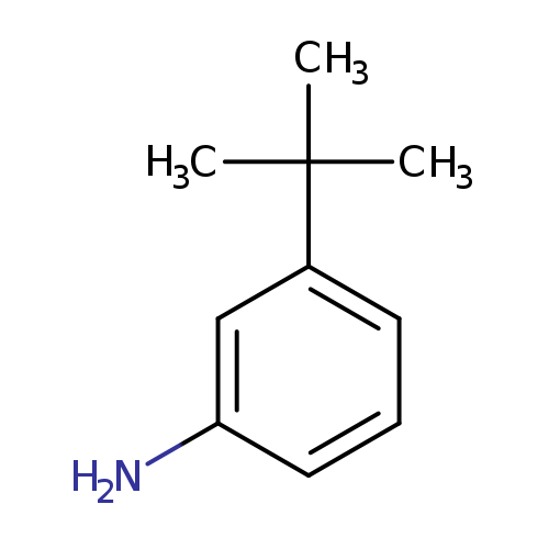 Nc1cccc(c1)C(C)(C)C