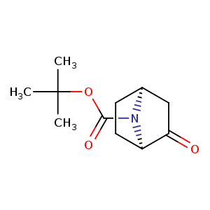 O=C(N1[C@H]2CC[C@@H]1C(=O)C2)OC(C)(C)C