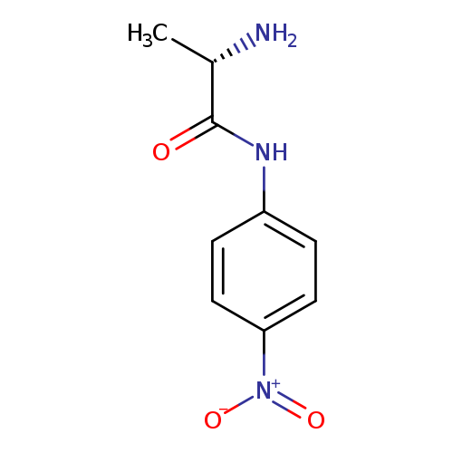 C[C@@H](C(=O)Nc1ccc(cc1)[N+](=O)[O-])N