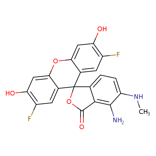 CNc1ccc2c(c1N)C(=O)OC12c2cc(F)c(cc2Oc2c1cc(F)c(c2)O)O