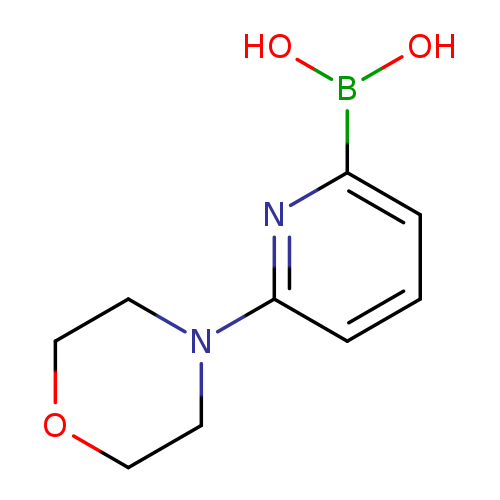 OB(c1cccc(n1)N1CCOCC1)O