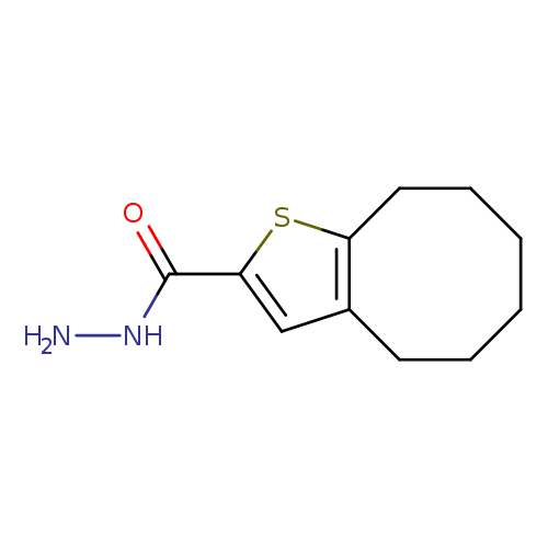 NNC(=O)c1sc2c(c1)CCCCCC2