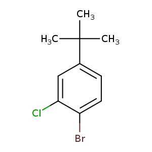 Brc1ccc(cc1Cl)C(C)(C)C
