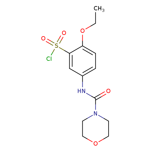 CCOc1ccc(cc1S(=O)(=O)Cl)NC(=O)N1CCOCC1