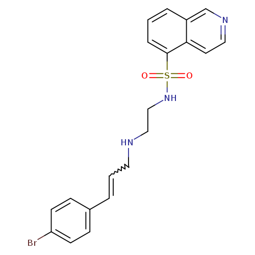 Brc1ccc(cc1)C=CCNCCNS(=O)(=O)c1cccc2c1ccnc2