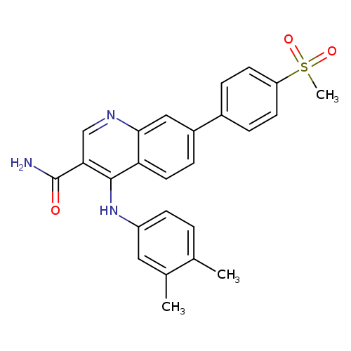 NC(=O)c1cnc2c(c1Nc1ccc(c(c1)C)C)ccc(c2)c1ccc(cc1)S(=O)(=O)C