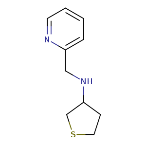 C1SCC(C1)NCc1ccccn1