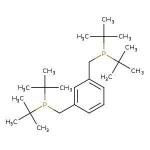 CC(P(C(C)(C)C)Cc1cccc(c1)CP(C(C)(C)C)C(C)(C)C)(C)C
