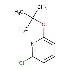 CC(Oc1cccc(n1)Cl)(C)C