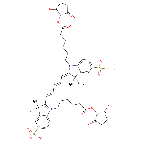 O=C(ON1C(=O)CCC1=O)CCCCCN1c2ccc(cc2C(/C/1=CC=CC=CC1=[N+](CCCCCC(=O)ON2C(=O)CCC2=O)c2c(C1(C)C)cc(cc2)S(=O)(=O)[O-])(C)C)S(=O)(=O)[O-].[K+]