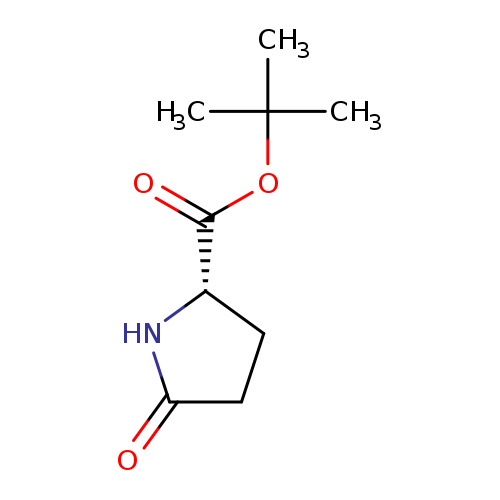 O=C([C@@H]1CCC(=O)N1)OC(C)(C)C
