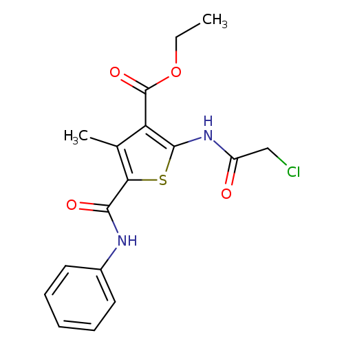 CCOC(=O)c1c(NC(=O)CCl)sc(c1C)C(=O)Nc1ccccc1
