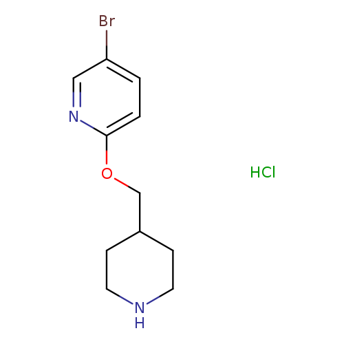Brc1ccc(nc1)OCC1CCNCC1.Cl