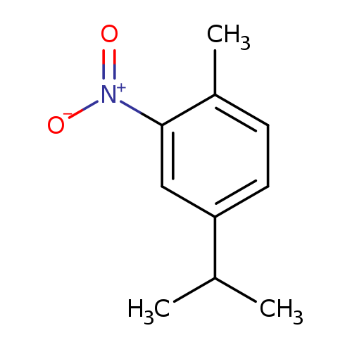 CC(c1ccc(c(c1)[N+](=O)[O-])C)C