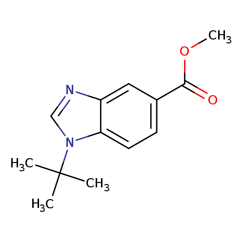 COC(=O)c1ccc2c(c1)ncn2C(C)(C)C