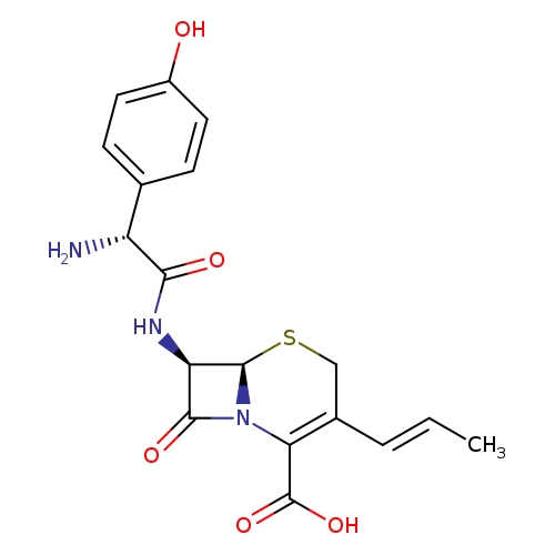 C/C=C/C1=C(C(=O)O)N2[C@H](SC1)[C@@H](C2=O)NC(=O)[C@@H](c1ccc(cc1)O)N
