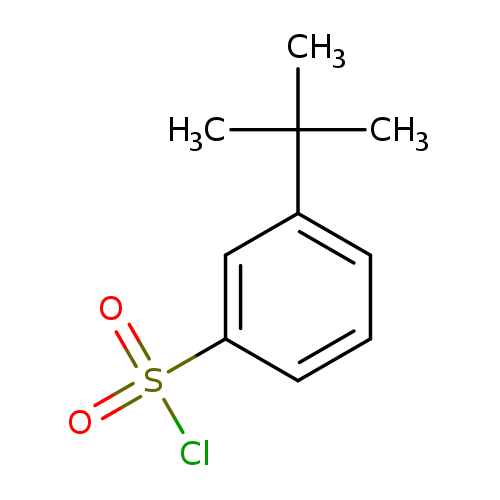 CC(c1cccc(c1)S(=O)(=O)Cl)(C)C