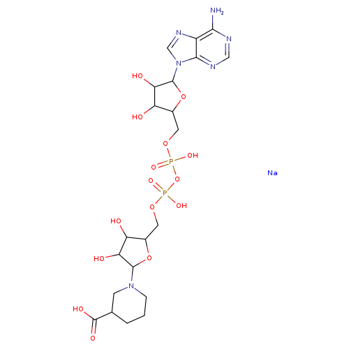 OC1C(O)C(OC1N1CCCC(C1)C(=O)O)COP(=O)(OP(=O)(OCC1OC(C(C1O)O)n1cnc2c1ncnc2N)O)O.[Na]
