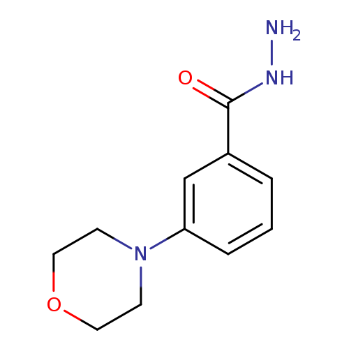 NNC(=O)c1cccc(c1)N1CCOCC1