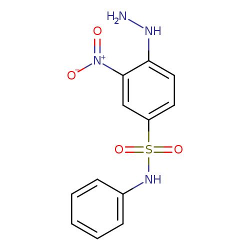 NNc1ccc(cc1[N+](=O)[O-])S(=O)(=O)Nc1ccccc1