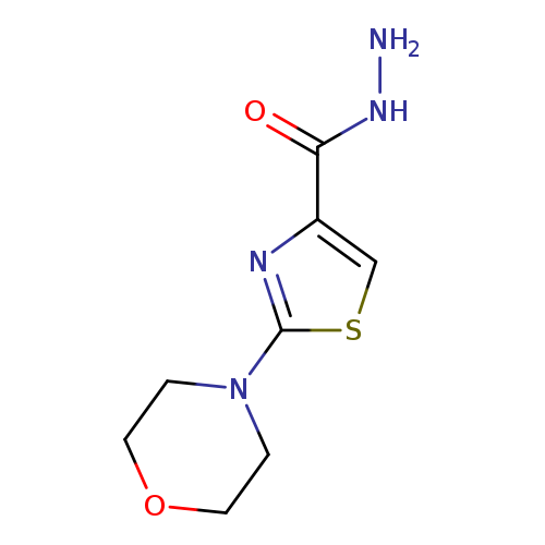 NNC(=O)c1csc(n1)N1CCOCC1