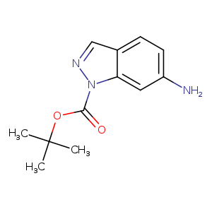 Nc1ccc2c(c1)n(nc2)C(=O)OC(C)(C)C