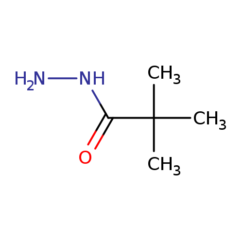 NNC(=O)C(C)(C)C