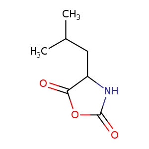 CC(CC1NC(=O)OC1=O)C