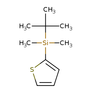 C[Si](C(C)(C)C)(c1cccs1)C
