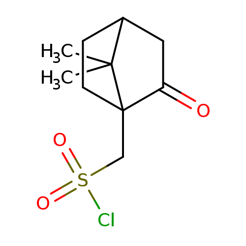 O=C1CC2C(C1(CC2)CS(=O)(=O)Cl)(C)C