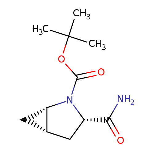 O=C(N1[C@H]2C[C@H]2C[C@H]1C(=O)N)OC(C)(C)C