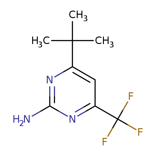 Nc1nc(cc(n1)C(F)(F)F)C(C)(C)C