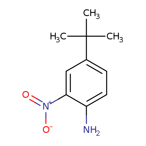 [O-][N+](=O)c1cc(ccc1N)C(C)(C)C