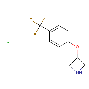 FC(c1ccc(cc1)OC1CNC1)(F)F.Cl