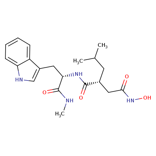 ONC(=O)C[C@H](C(=O)N[C@H](C(=O)NC)Cc1c[nH]c2c1cccc2)CC(C)C