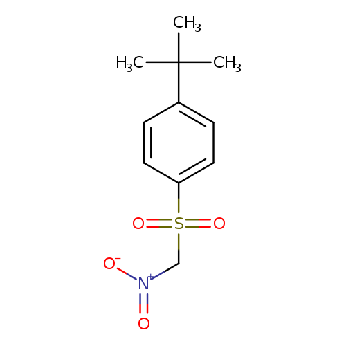 CC(c1ccc(cc1)S(=O)(=O)C[N+](=O)[O-])(C)C