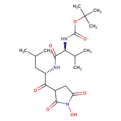 CC(C[C@@H](C(=O)C1CC(=O)N(C1=O)O)NC(=O)[C@H](C(C)C)NC(=O)OC(C)(C)C)C
