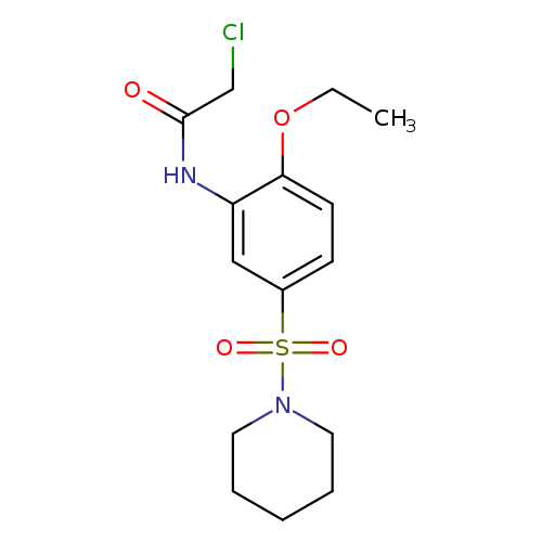 CCOc1ccc(cc1NC(=O)CCl)S(=O)(=O)N1CCCCC1