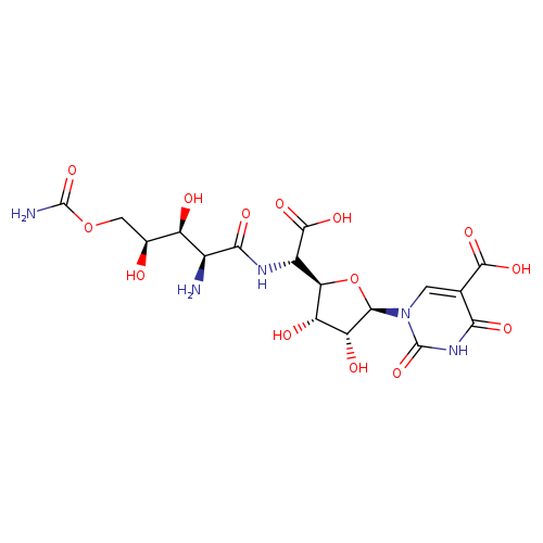 NC(=O)OC[C@@H]([C@H]([C@@H](C(=O)N[C@@H]([C@H]1O[C@H]([C@@H]([C@@H]1O)O)n1cc(C(=O)O)c(=O)[nH]c1=O)C(=O)O)N)O)O