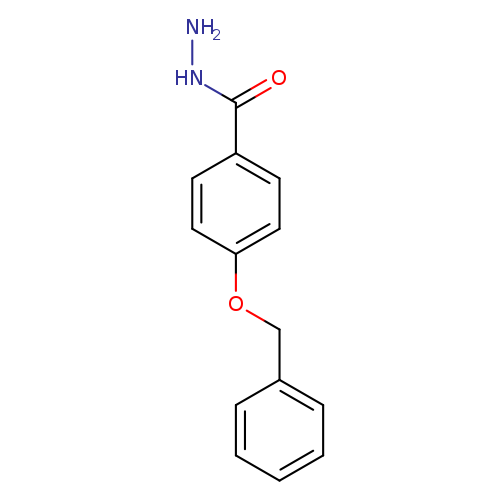 NNC(=O)c1ccc(cc1)OCc1ccccc1