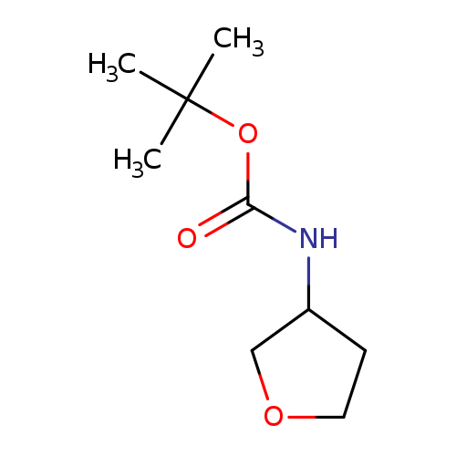 O=C(OC(C)(C)C)NC1COCC1