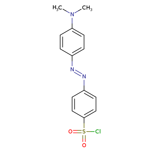CN(c1ccc(cc1)/N=N/c1ccc(cc1)S(=O)(=O)Cl)C