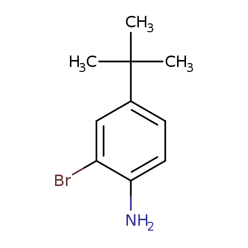 Nc1ccc(cc1Br)C(C)(C)C