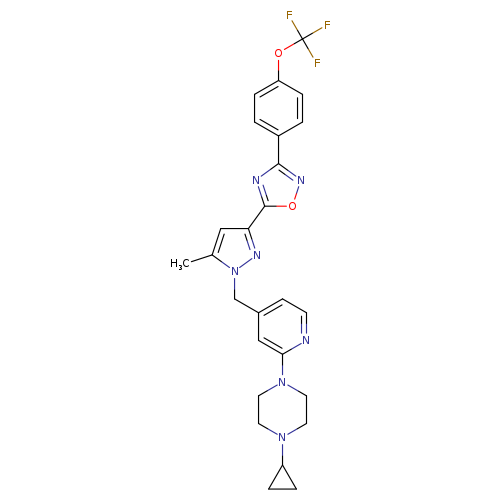 Cc1cc(nn1Cc1ccnc(c1)N1CCN(CC1)C1CC1)c1onc(n1)c1ccc(cc1)OC(F)(F)F