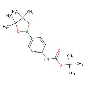 O=C(OC(C)(C)C)Nc1ccc(cc1)B1OC(C(O1)(C)C)(C)C