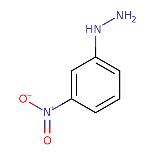 NNc1cccc(c1)[N+](=O)[O-]