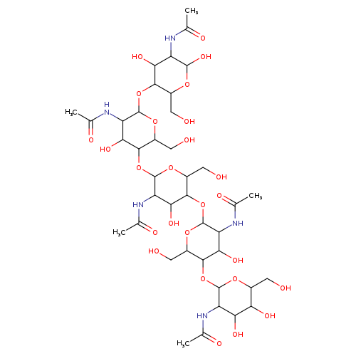 OCC1OC(OC2C(CO)OC(C(C2O)NC(=O)C)OC2C(CO)OC(C(C2O)NC(=O)C)O)C(C(C1OC1OC(CO)C(C(C1NC(=O)C)O)OC1OC(CO)C(C(C1NC(=O)C)O)O)O)NC(=O)C
