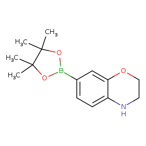 CC1(C)OB(OC1(C)C)c1ccc2c(c1)OCCN2