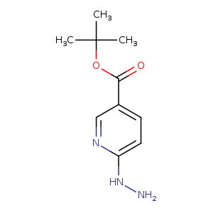 NNc1ccc(cn1)C(=O)OC(C)(C)C