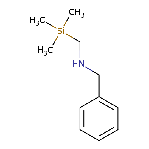 C[Si](CNCc1ccccc1)(C)C